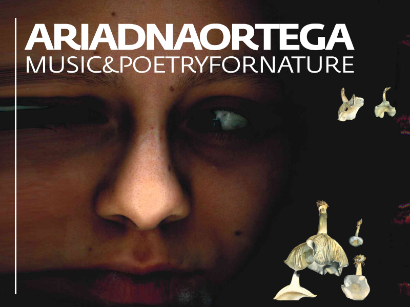 Music & Poetry for Nature at the AGSM