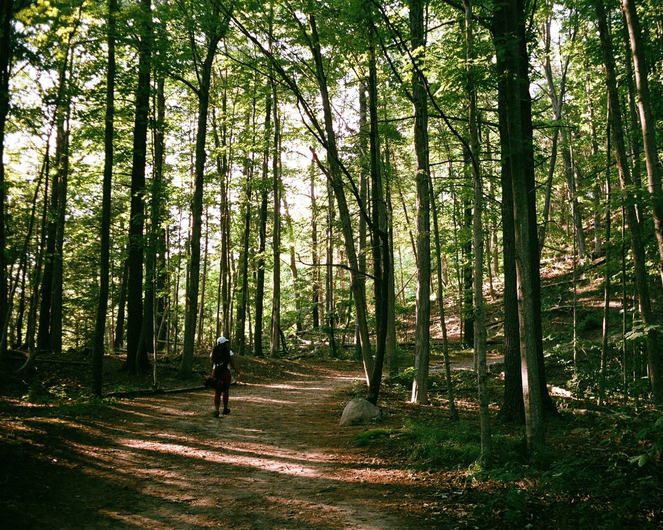 Brandon Hills Trails