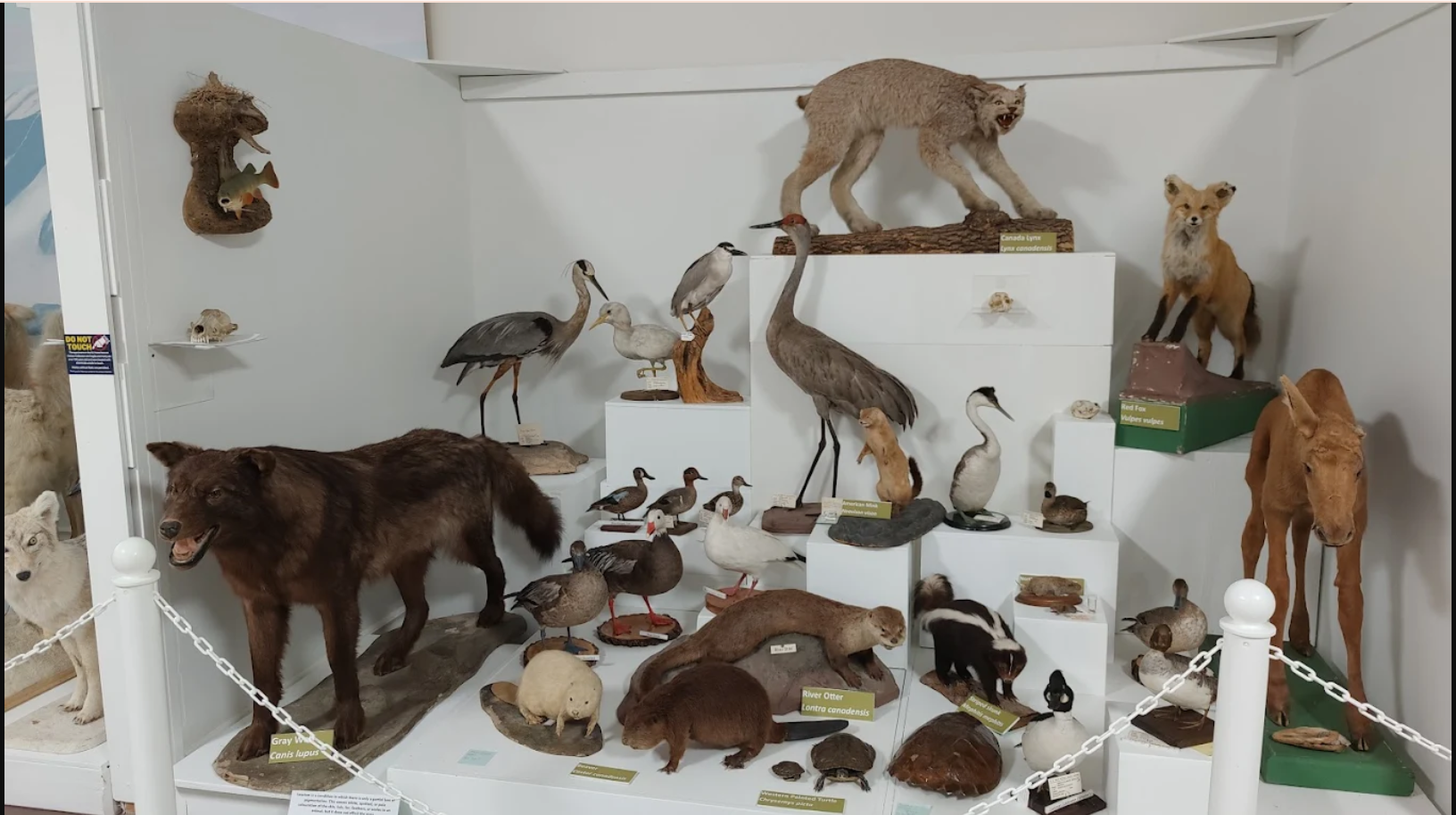 Brandon General Museum