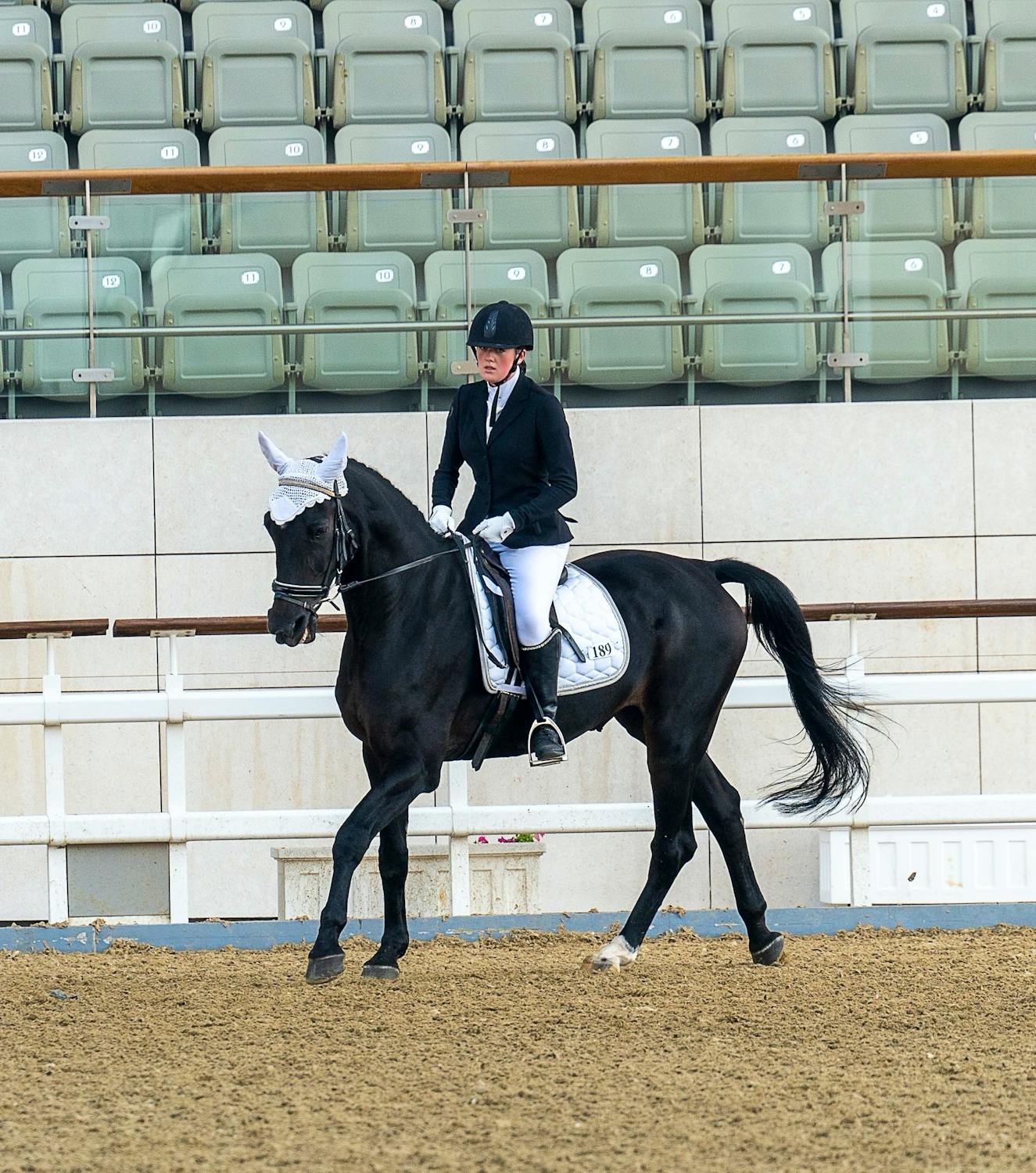 Dressage Show