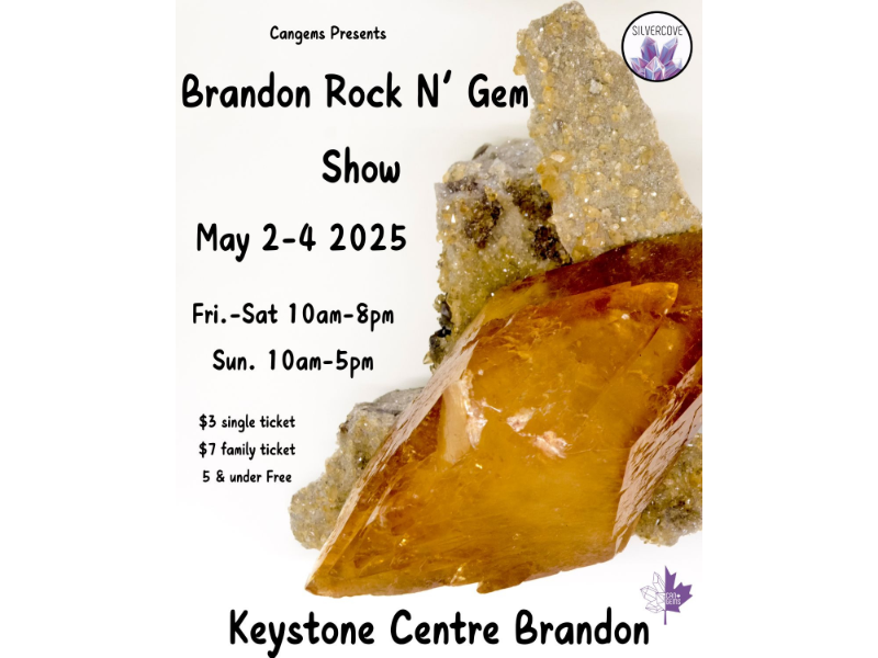 Rock N Gem Show