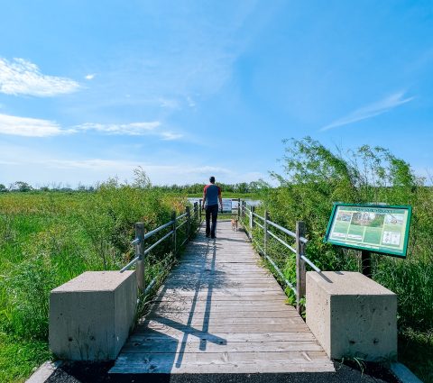 Trails & Nature Walks